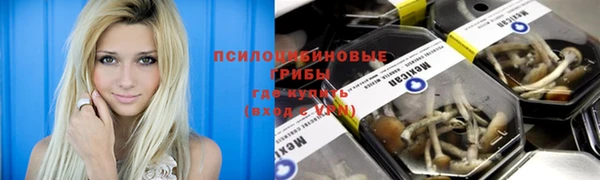 марки lsd Зеленодольск