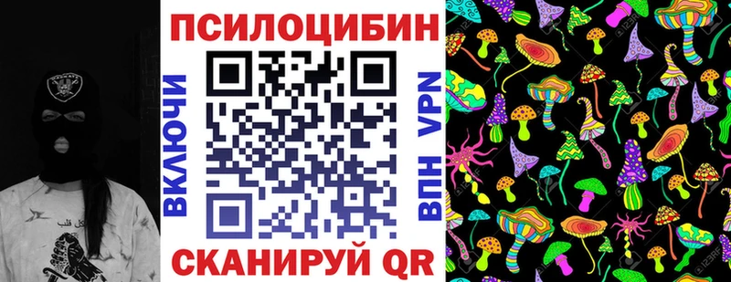 Купить где  Томари  Галлюциногенные грибы MAGIC MUSHROOMS 
